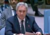 Argentina pagó a la ONU su deuda de US$ 15 millones con la candidatura de Grossi en el horizonte