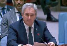 Argentina pagó a la ONU su deuda de US$ 15 millones con la candidatura de Grossi en el horizonte