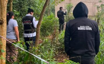 Crimen de la adolescente en Misiones: hasta ahora la causa no tiene pistas firmes, ni sospechosos