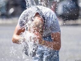 La grave ola de calor en Europa dejó más de 1.000 muertos en una semana