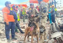 La misión humanitaria argentina rescató a dos menores de entre los escombros en Venezuela