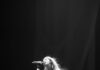 Ángela Torres anunció su gira nacional «No me olvides» y consolida su ascenso como la revelación del pop