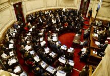 El oficialismo logró aprobar en el Senado el plan de pago a dos fondos buitre