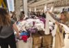 Las ventas minoristas bajaron 1,2% interanual en mayo pero terminaron por encima de abril