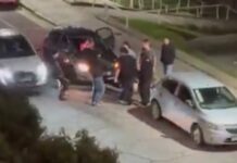 Milagro en Mar del Plata: un joven fue atropellado tras una pelea callejera y sobrevivió al brutal impacto
