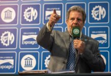Retroceden los precios de la hacienda para invernada
