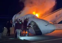 Tragedia en Estados Unidos: una avioneta se estrelló y se incendió en el sur de Texas