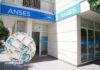 Calendario Anses: qué prestaciones sociales se cobran en la semana del 15 al 19 de junio