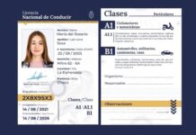 Sacar el registro: las nuevas pruebas y controles que hay que pasar también para renovarlo