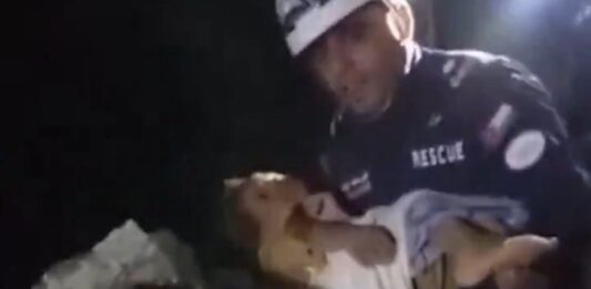 Rescatan a un niño de tres años que sobrevivió seis días bajo los escombros tras los terremotos en Venezuela