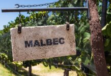 Un Malbec argentino destacado como uno de los mejores vinos del mundo