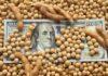 Las empresas agroexportadoras liquidaron U$S 2.677 millones en mayo