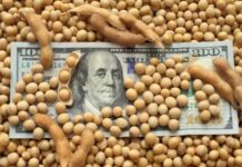 Las empresas agroexportadoras liquidaron U$S 2.677 millones en mayo