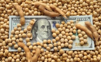 Las empresas agroexportadoras liquidaron U$S 2.677 millones en mayo