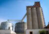 Las actividades aceiteras y cerealeras generaron divisas por más de 2.600 millones de dólares