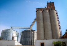 Las actividades aceiteras y cerealeras generaron divisas por más de 2.600 millones de dólares