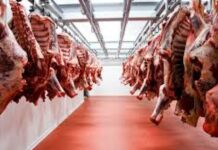 Cayó el consumo de carne y no llega a los 50 kilos per cápita por año