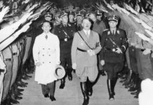 Descubre el Pasado Oculto: Un Buscador Revela la Afiliación Nazi de Más de 12 Millones de Alemanes