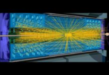 Científicos argentinos participan en uno de los experimentos más importantes de la física de partículas