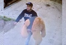 Insólito: rompió el vidrio de un auto para robarse un oso de peluche en Saavedra