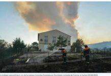 Francia: incendio forestal arrasa con el bosque de Fontainebleau