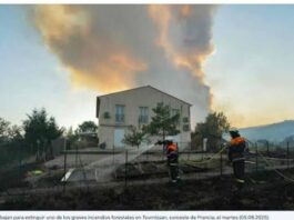 Francia: incendio forestal arrasa con el bosque de Fontainebleau