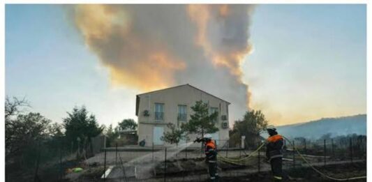 Francia: incendio forestal arrasa con el bosque de Fontainebleau