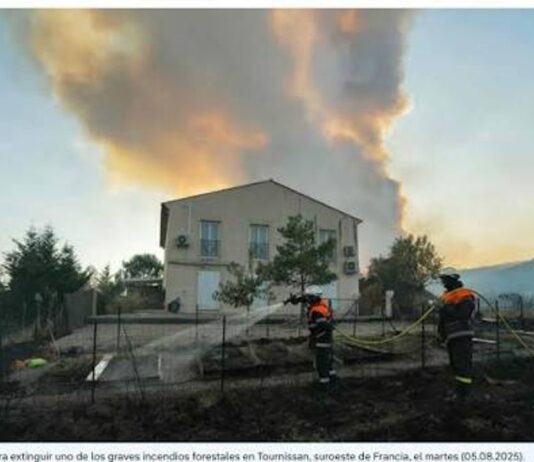 Francia: incendio forestal arrasa con el bosque de Fontainebleau