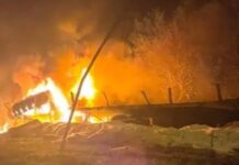 Murió un camionero al caer del puente Zárate-Brazo Largo