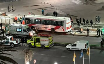 LA VTV del colectivo que atropelló y mató en Mar del Plata fue rechazada y aprobada el mismo día