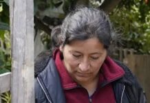 La fiscal del caso Loan apuntó contra Laudelina: supone que plantó una prueba