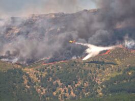 España: más de 63.000 personas son evacuadas o confinadas por incendios