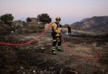 Creta en Emergencia: 8.000 Evacuados por Desgarradores Incendios Forestales