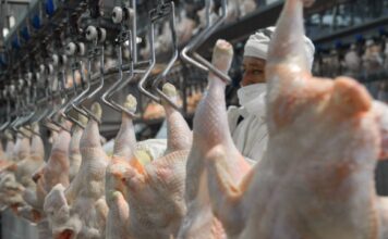 La Unión Europea reabrió su mercado para la carne aviar argentina tras reconocer al país como libre de gripe aviar