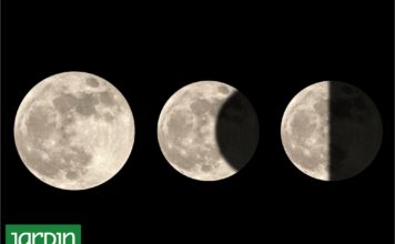 ¿Cómo Influyen las Fases de la Luna en el Jardín? Descubre los Secretos de la Agricultura Biodinámica