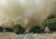 Los incendios ya han provocado el cierre de 35 carreteras en España: de Madrid o Ávila a la peor parte en Guadalajara