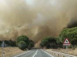 Los incendios ya han provocado el cierre de 35 carreteras en España: de Madrid o Ávila a la peor parte en Guadalajara