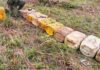 Autoridades destruyeron 220 kilos de explosivos hallados en una caleta clandestina de las disidencias de las Farc en el Meta