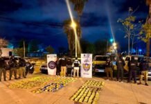 Bloquearon el paso de una caravana de traficantes y decomisaron casi 200 kilos de cocaína