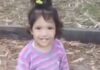 Trágica muerte de una niña en Villa Gesell: madre detenida y múltiples interrogantes