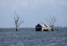 Ante pronósticos de El Niño, proponen tomar medidas preventivas