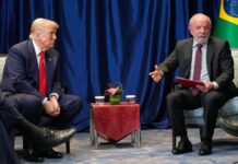 Cómo afecta a la Argentina la nueva guerra de aranceles entre Brasil y Estados Unidos