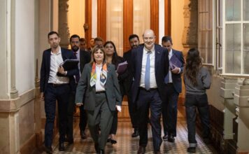 Senado: Bullrich y Sturzenegger cierran filas para tratar de avanzar con la extranjerización de tierras