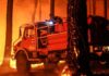 Los incendios en Francia dejan ya más de 200.000 evacuados tras calcinar un récord de casi 98.000 hectáreas