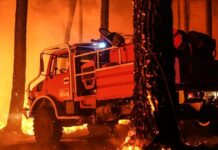 Los incendios en Francia dejan ya más de 200.000 evacuados tras calcinar un récord de casi 98.000 hectáreas