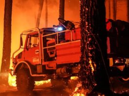 Los incendios en Francia dejan ya más de 200.000 evacuados tras calcinar un récord de casi 98.000 hectáreas