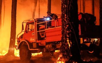 Los incendios en Francia dejan ya más de 200.000 evacuados tras calcinar un récord de casi 98.000 hectáreas