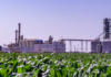 Inversión histórica en biocombustibles: Bio 4 destina U$S 70 millones para expandir producción de bioetanol