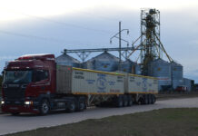 El Gobierno Argentino Impulsa el Uso de Bitrenes a GNC para Reducir Costos en el Transporte de Cargas