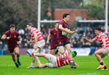 Newman logra una victoria clave y extiende su racha histórica en el Top 14
